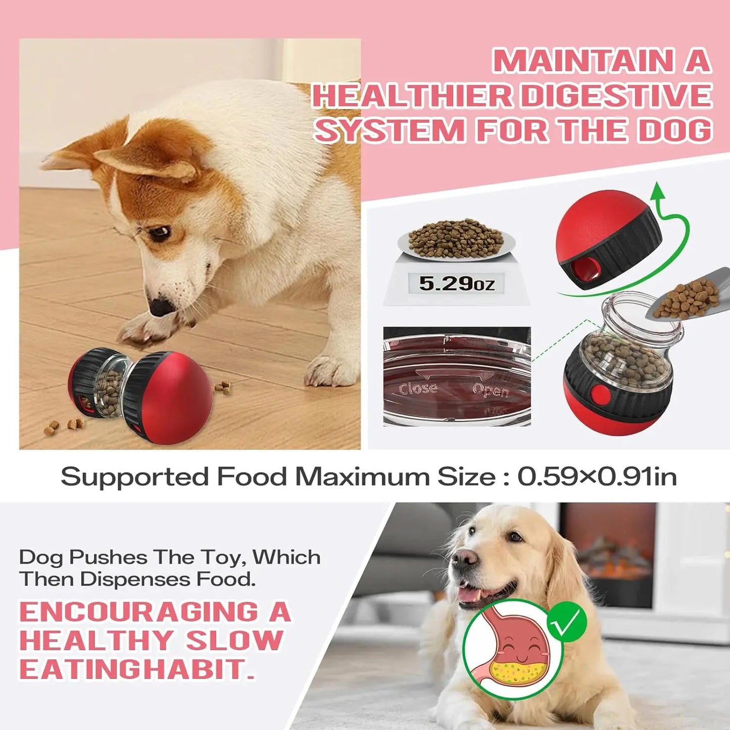 Dog Puzzle Toy Elliptical Track Rolling Increase Intelligence Ball Leaky Food Develop Good Habits Durable Interactive Pet Toys - Divine Beauty Care