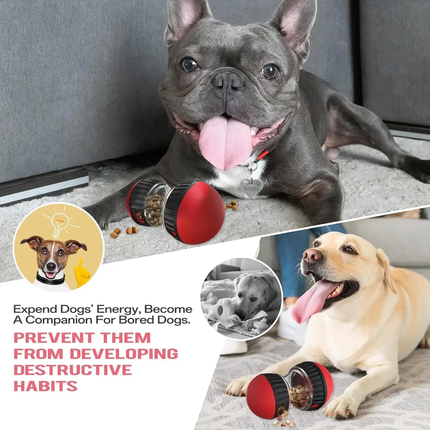 Dog Puzzle Toy Elliptical Track Rolling Increase Intelligence Ball Leaky Food Develop Good Habits Durable Interactive Pet Toys - Divine Beauty Care