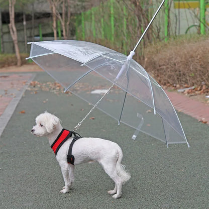 Creative Leash Puppy Raincoat With Dog Leash - Divine Beauty Care