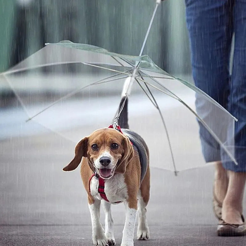 Creative Leash Puppy Raincoat With Dog Leash - Divine Beauty Care