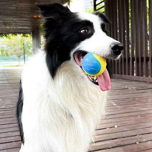 Dogs  Interactive Toys Soft TPR Toys for Dog Pet Teeth Cleaning Bite Resistance Squeaky Dog Ball Toy - Divine Beauty Care