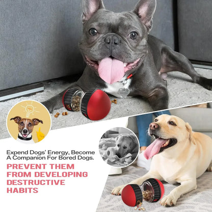 Dog Puzzle Toy Elliptical Track Rolling Increase Intelligence Ball Leaky Food Develop Good Habits Durable Interactive Pet Toys - Divine Beauty Care